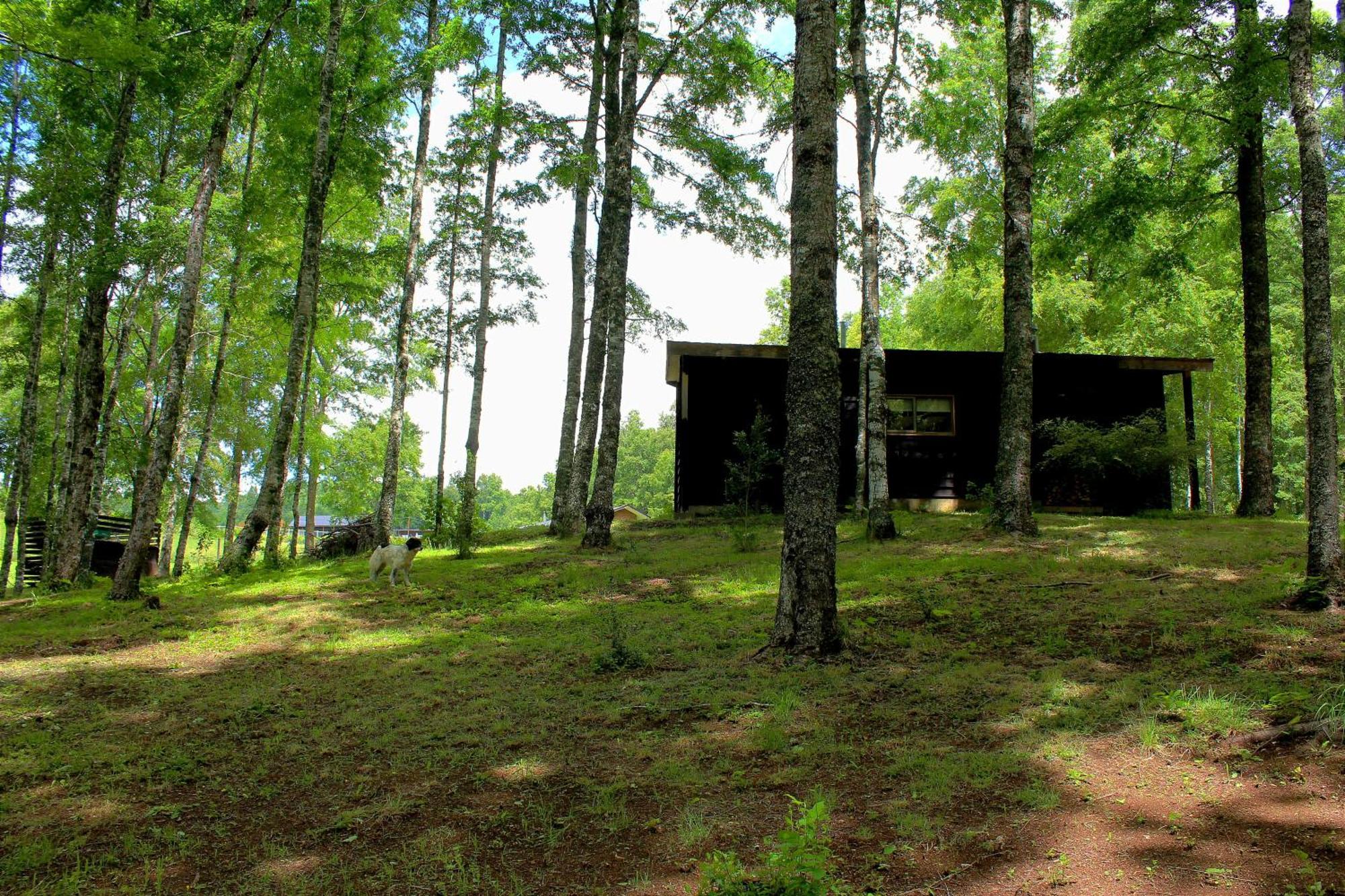 Cabanas Am Berg Pucón Exterior foto